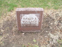David F. Wallace 