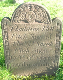 Thaddeus Hill Fitch 