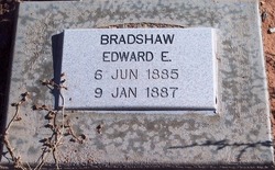 Edward E Bradshaw 