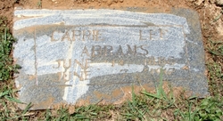 Carrie Lee <I>Nelson</I> Abrams 