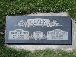 Charles Wesley Clark 