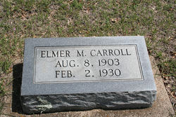Elmer Miller Carroll 