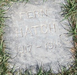 Fern Hatch 