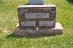 Henry Martin Brandt Jr.