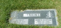 Agnes Bertha <I>Morrow</I> Jenkins 
