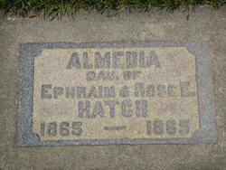 Almedia Hatch 
