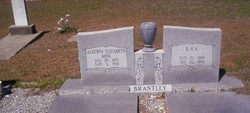 Alberta Elizabeth <I>King</I> Brantley 