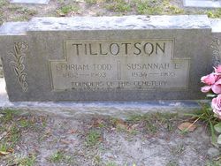 Susannah Elizabeth <I>Wilbur</I> Tillotson 