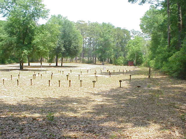 Sunland Paupers Cemetery