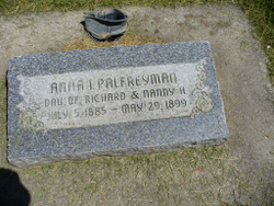 Anna Ione Palfreyman 