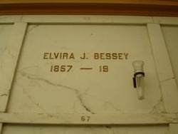 Elvira J Bessey 