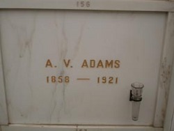 Americus V Adams 
