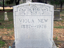Viola Blanche <I>Miles</I> New 