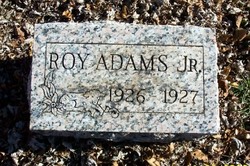 Roy Adams Jr.