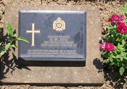 Private Alfred William Avis 