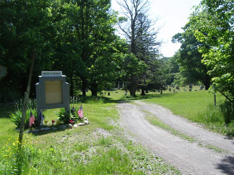 Cemetery of the Maples