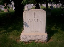 Gavin 