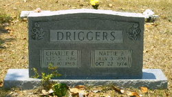 Charlie E Driggers 