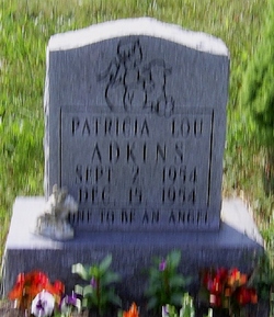 Patricia Lou Adkins 