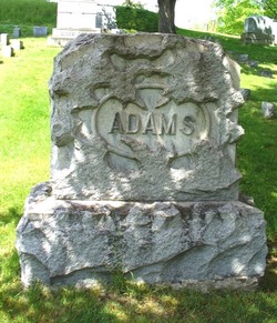 Willard C Adams 