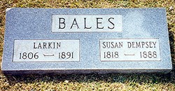 Susan <I>Dempsey</I> Bales 