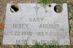 Molly Antonio 