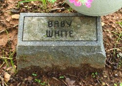 Baby White 