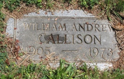 William Andrew Callison 