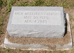 Dick McElveen Gibbon 