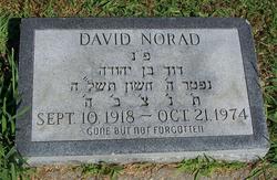 David Norad 