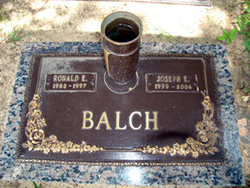 Ronald E Balch 