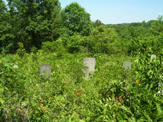 Hildebrand Cemetery Old