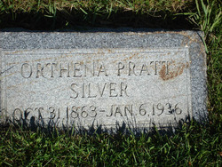 Orthena <I>Pratt</I> Silver 