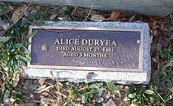 Alice Duryea 