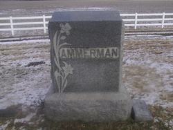 William E Ammerman 
