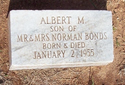 Albert M Bonds 