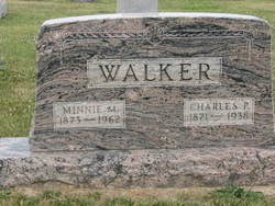 Charles Palmer Walker 