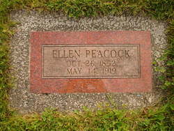 Ellen <I>Greening</I> Peacock 