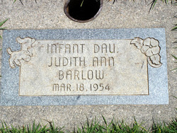 Judith Ann Barlow 
