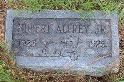 Hubert Alfrey Jr.