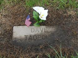 David Tadpole Jr.