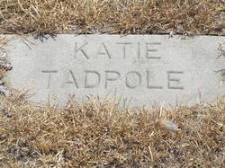 Katie Tadpole 