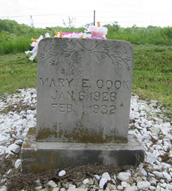 Mary Elizabeth Cook 