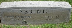 Albert Lee Brint 