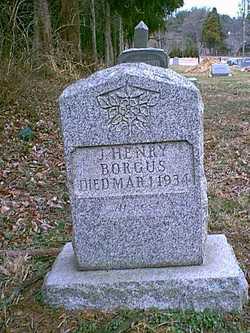J Henry Borgus 