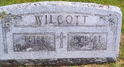 Peter Wilcott 