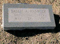 Sallie Ann <I>Kincheloe</I> Hamrick 