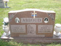 Marie C <I>Cifuno</I> Abboud 