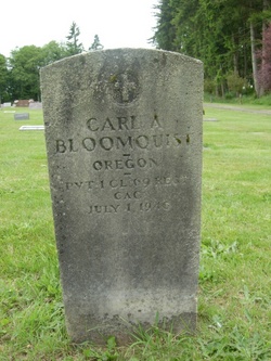 Carl A Bloomquist 