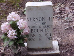 Vernon Harold Bounds 